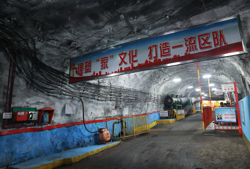 蒲白運(yùn)營(yíng).png