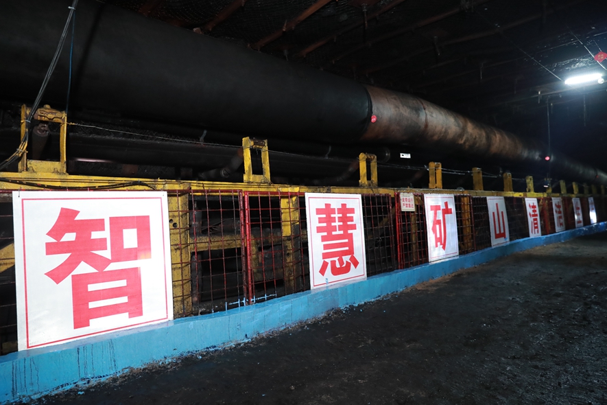 3.標準化.JPG